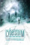 Cyberstorm